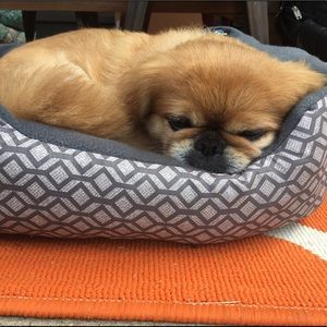 Meet your Posher, Krista