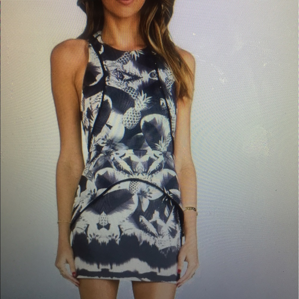 Finders Keepers Next to Me dress