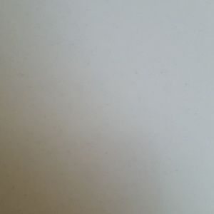 Meet your Posher, Joey