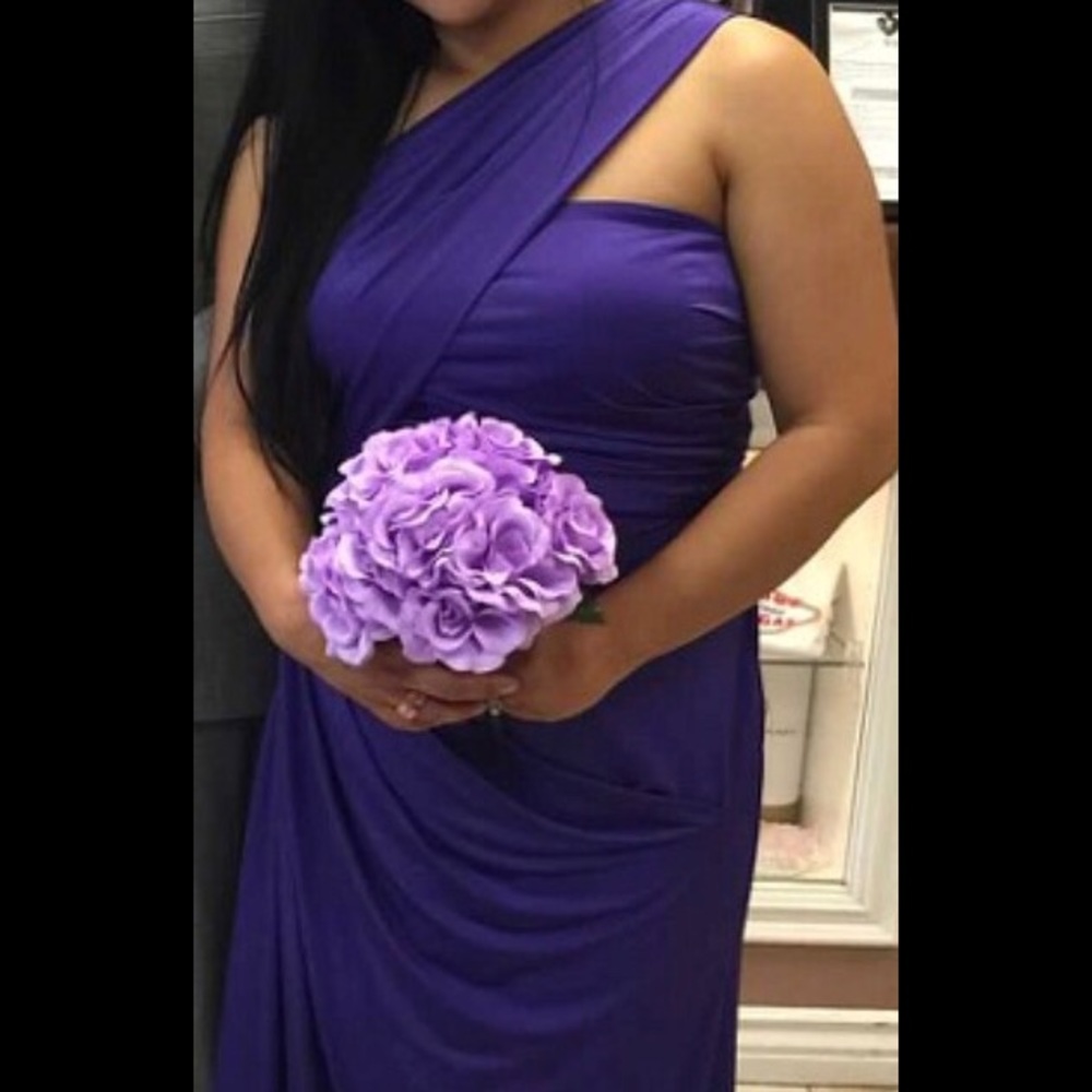 Long dress used 1 time David's bridal