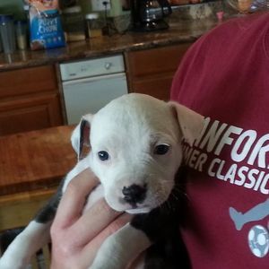 Meet your Posher, E.j.