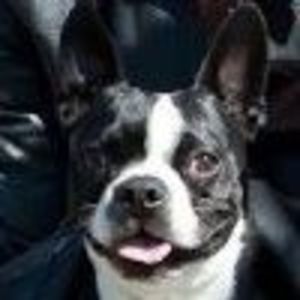 Meet your Posher, Cory