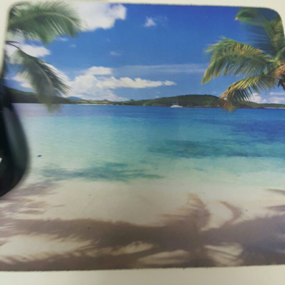 Meet your Posher, Lindsay