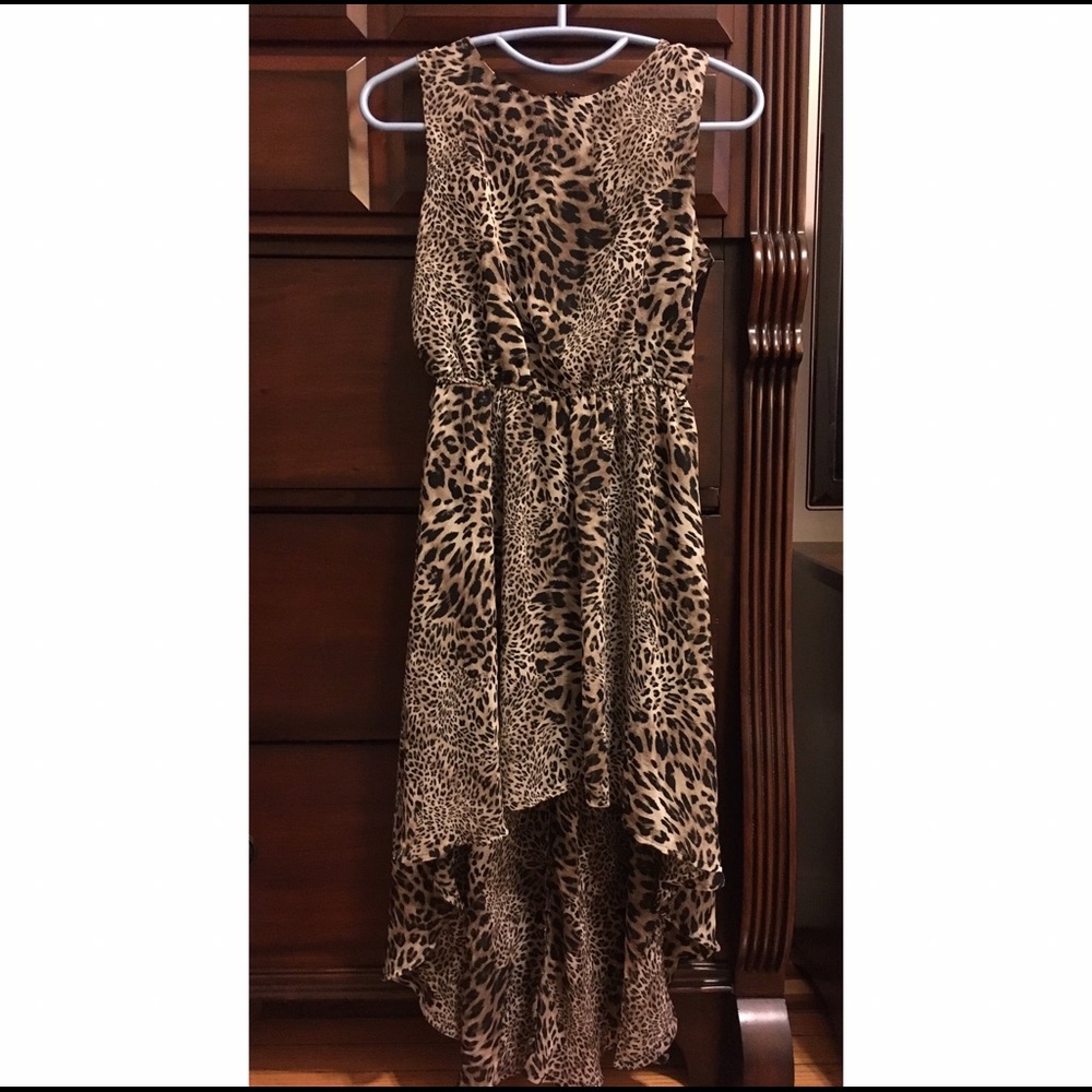 Long Leopard Print Dress