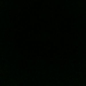 Meet your Posher, Terrell