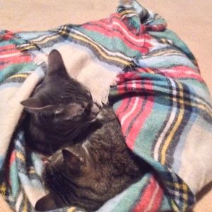 Meet your Posher, Colette