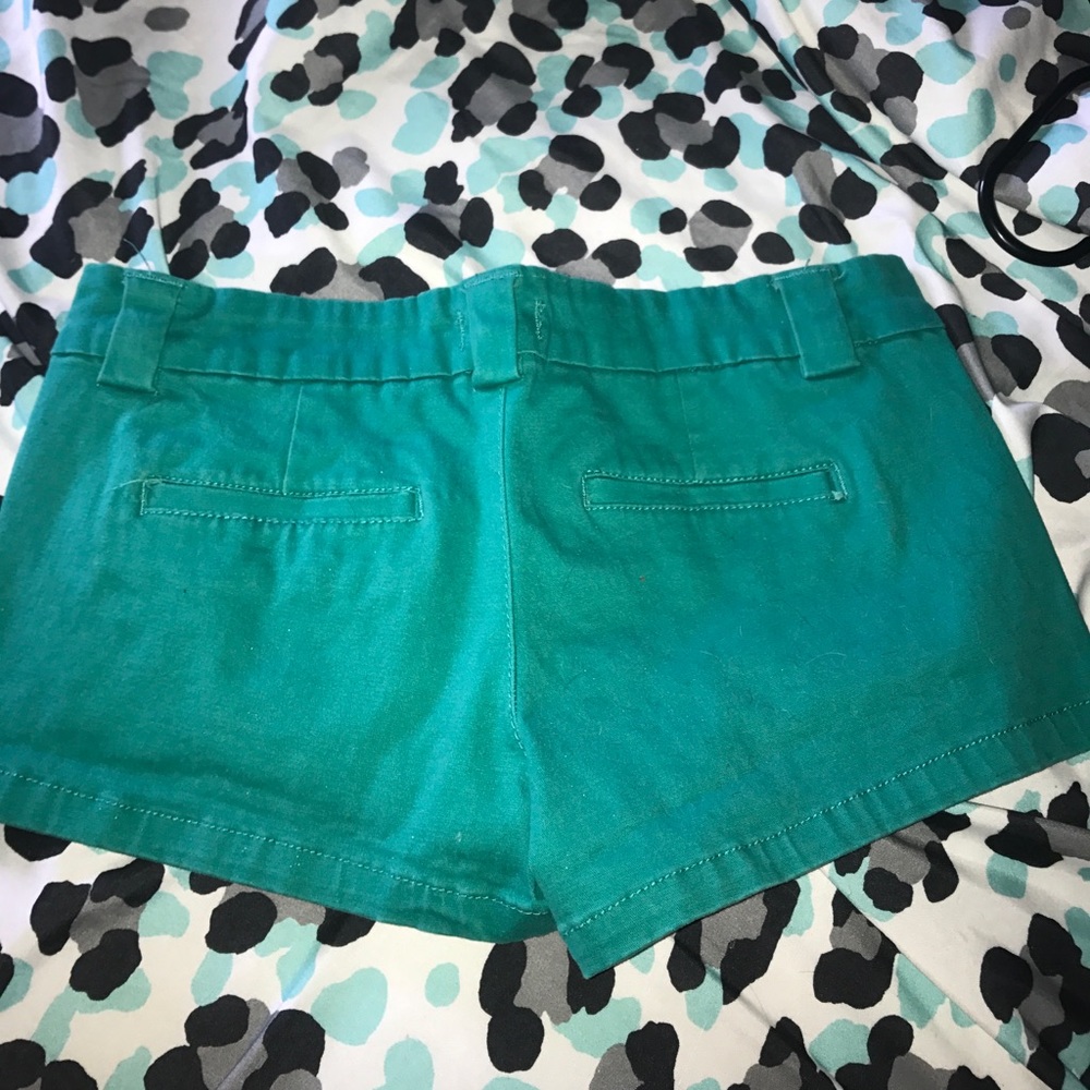 Shorts - Picture 4 of 4