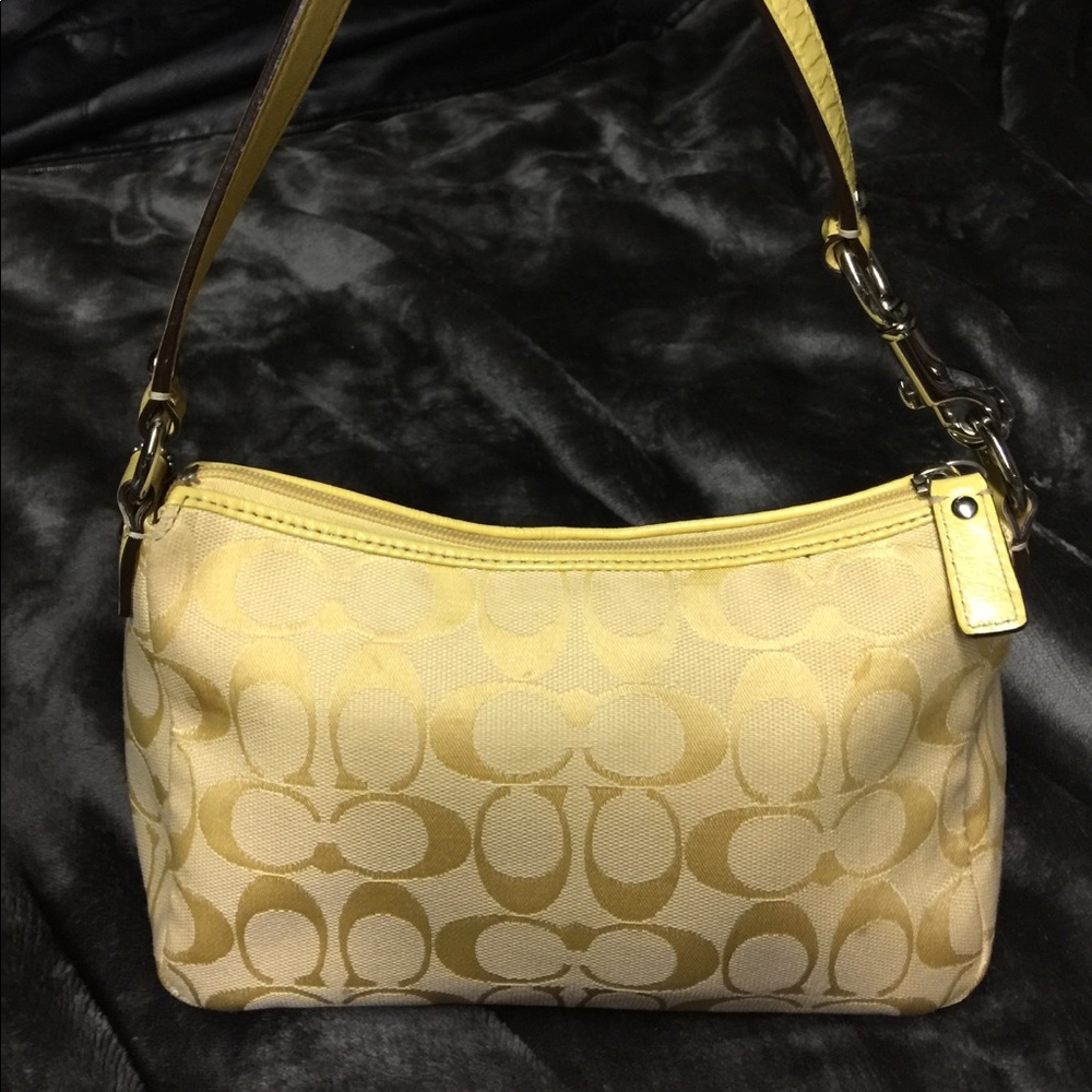 Small Coach bag