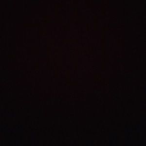 Meet your Posher, Gianna