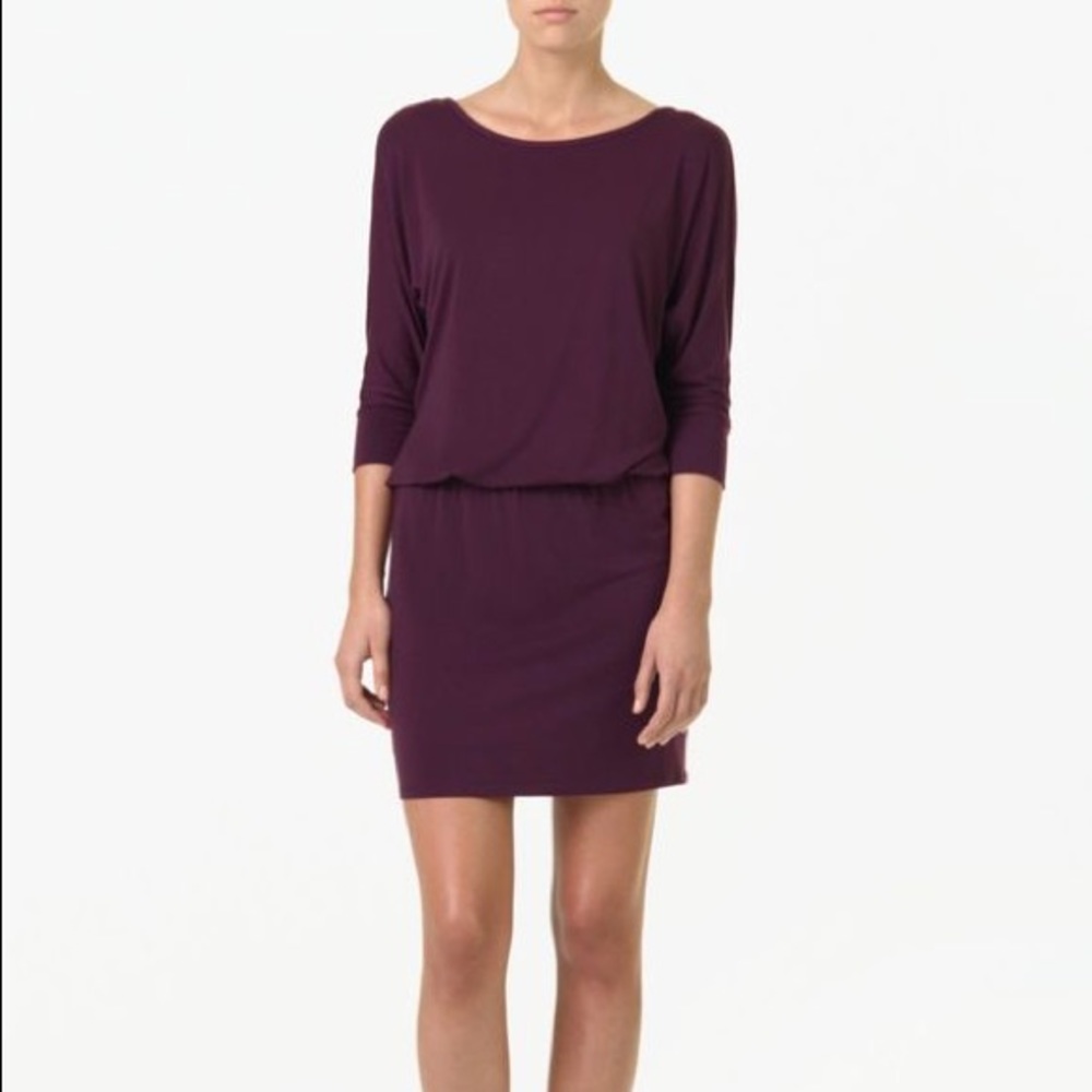 Aritzia Babaton Wynn Open Back Mini Dress