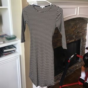 Charlotte Russe (S) dress.