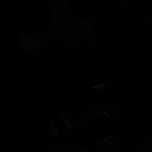 Meet your Posher, Carolina