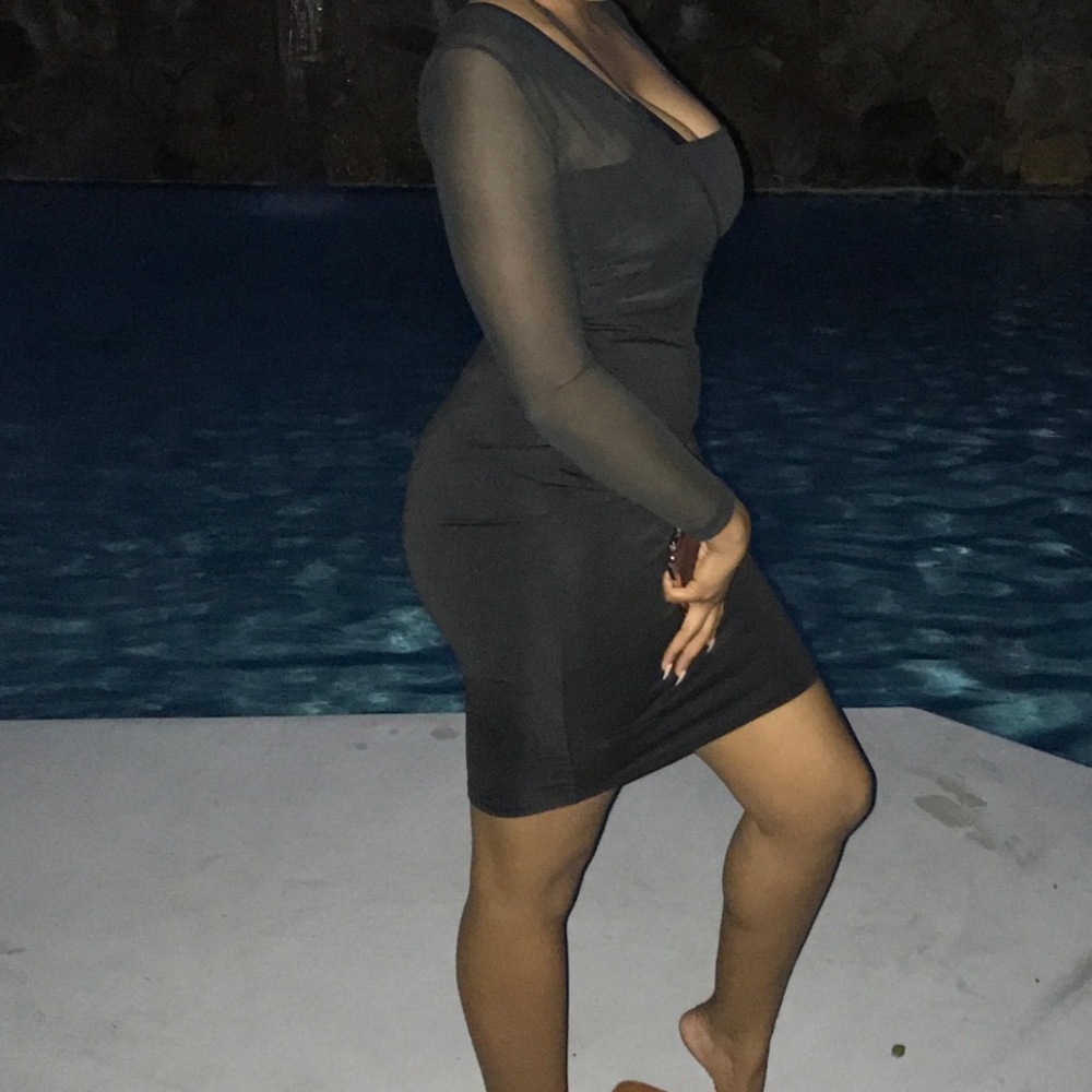SOLD Mesh Detail Dress - Picture 2 of 2