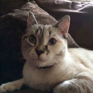 Meet your Posher, Kelli