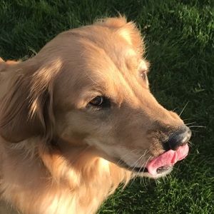 Meet your Posher, Katelynn