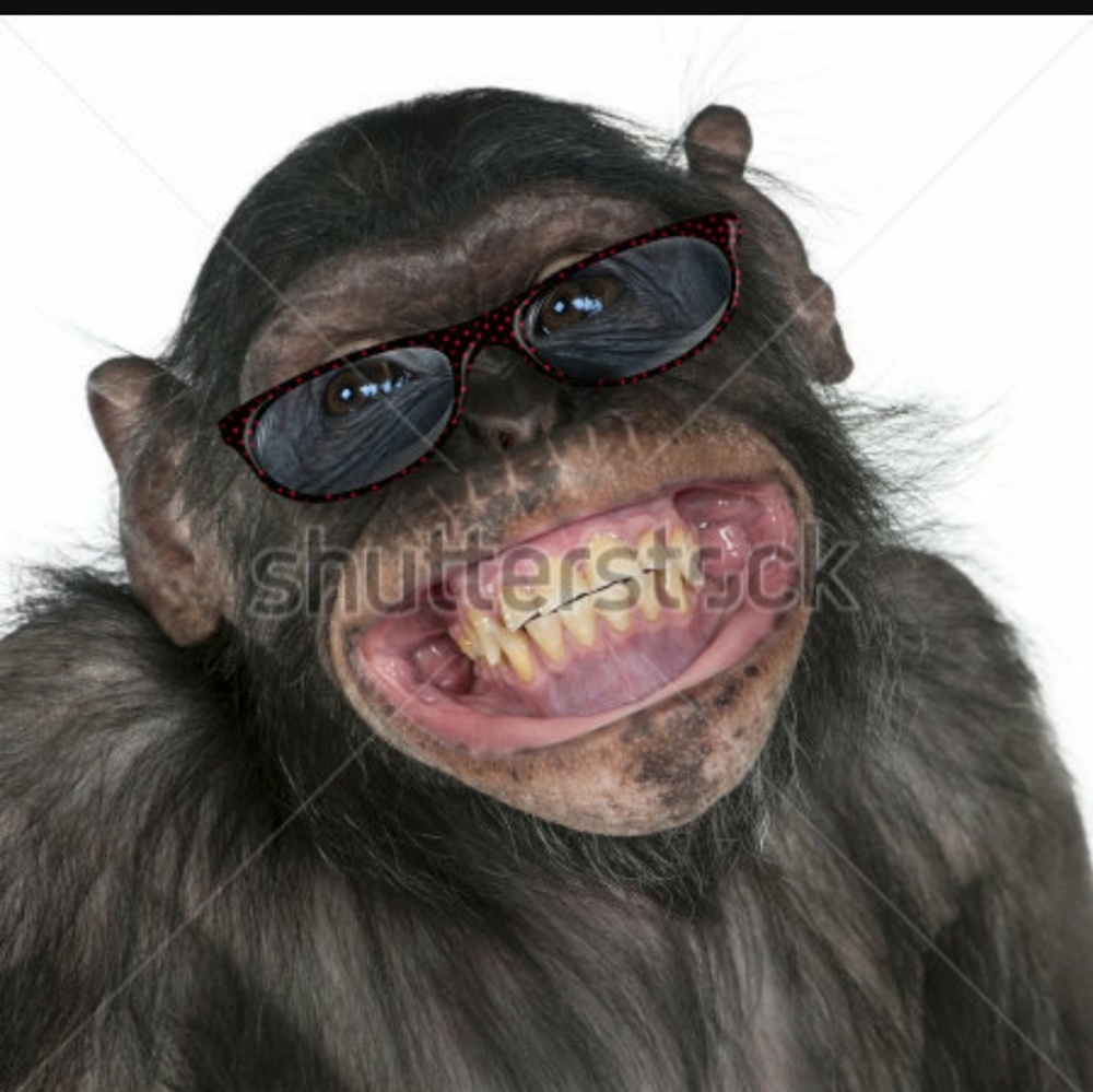 Meet your Posher, Chequila