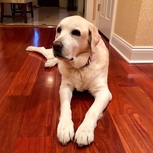 Meet your Posher, Joseph