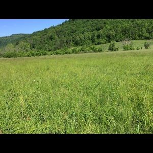 Meet your Posher, Joni