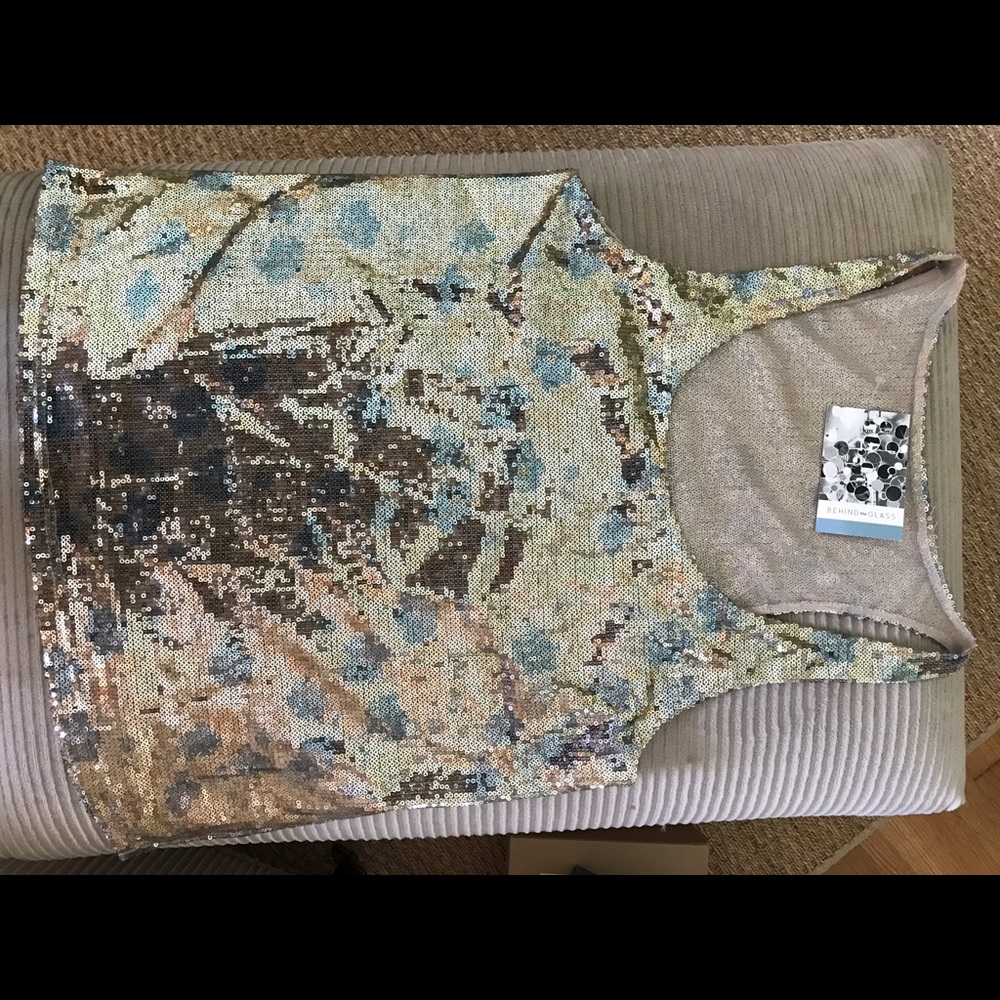 BB Dakota Sequin Top