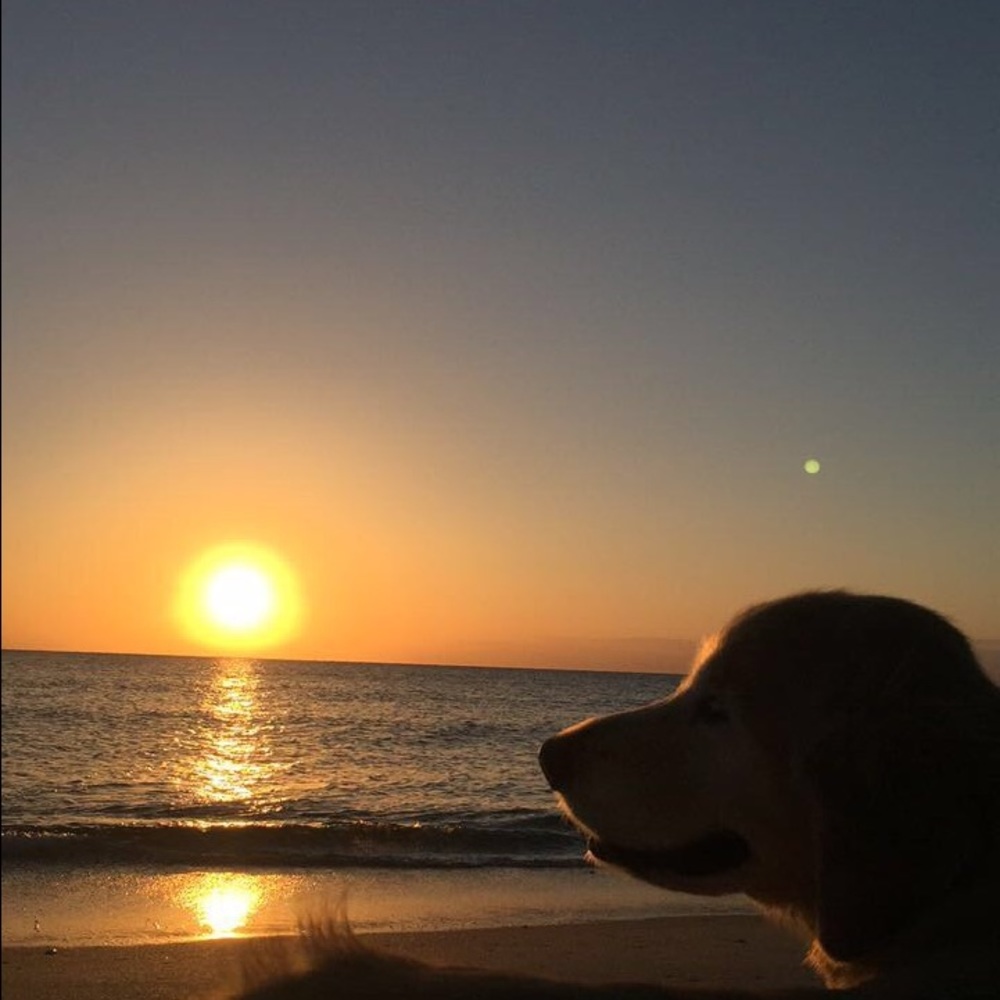 Meet your Posher, Jocelyn