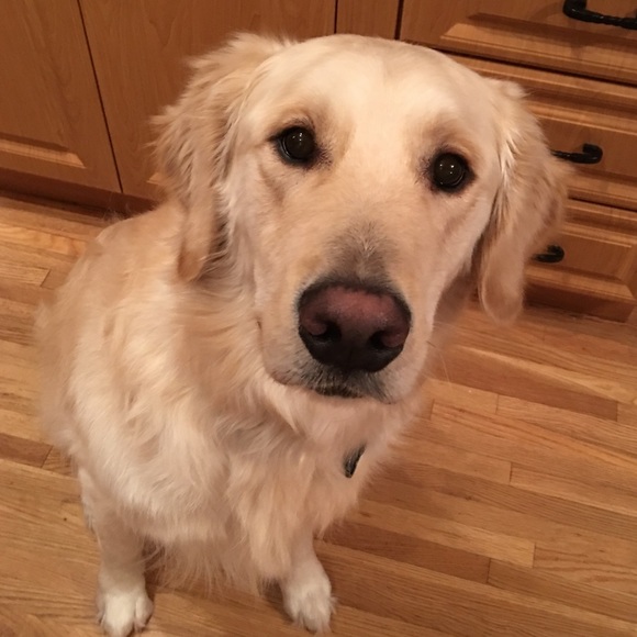 Meet your Posher, Nathalie - Picture 4 of 4