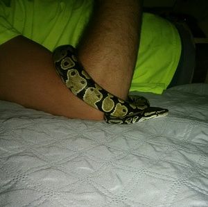 Meet your Posher, Heather