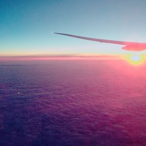 Meet your Posher, Mia