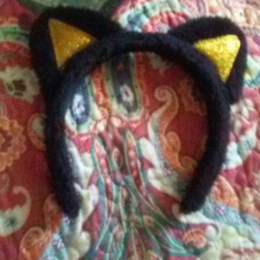 Hollwen cat ears