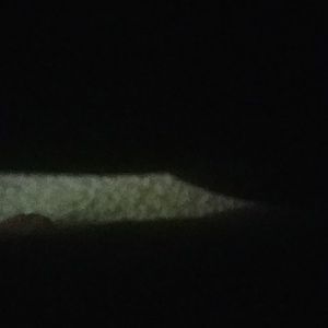 Meet your Posher, Christian