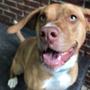 Meet your Posher, Emma