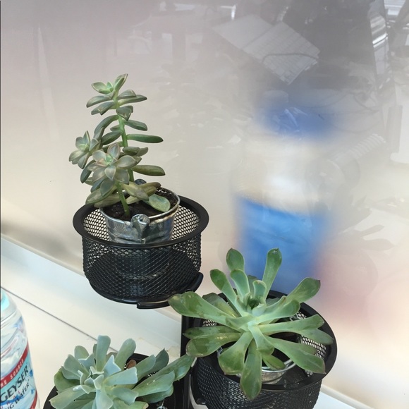 iPhone 6s Plus - Picture 8 of 8