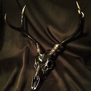 Meet your Posher, Everett