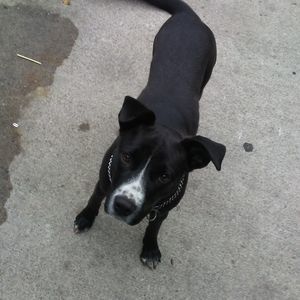 Meet your Posher, Corey