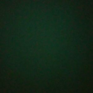 Meet your Posher, Miriam