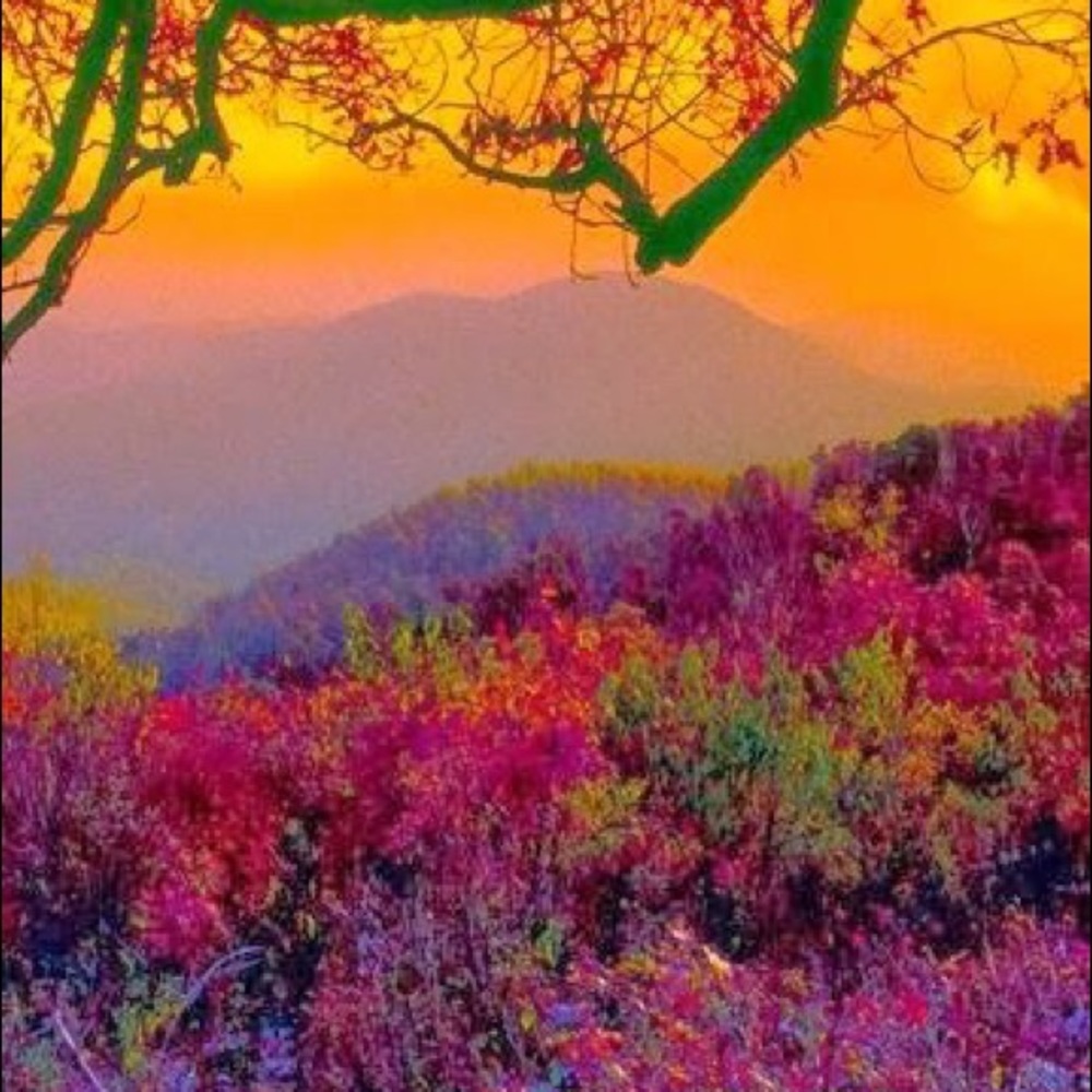 Meet your Posher, Sandy