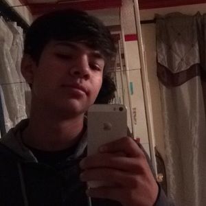Meet your Posher, Alex