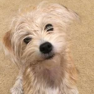 Meet your Posher, Deena