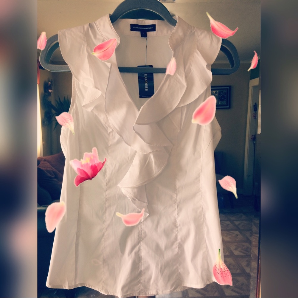 🌺Pink Pedals 🌺