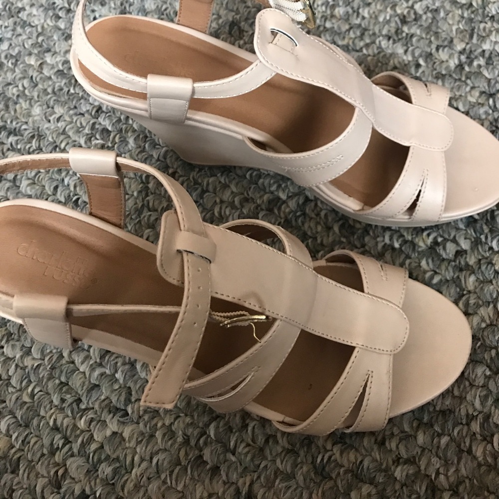 Charlotte Russe Wedges