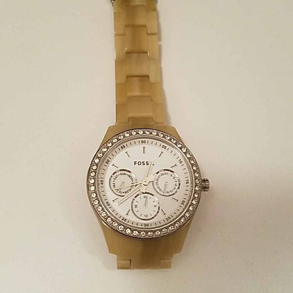 Horn fossil watch