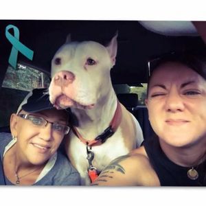 Meet your Posher, Tracy