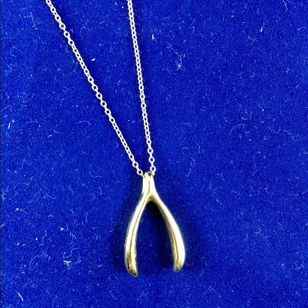 Gold Wishbone Necklace on a 18K Gold Chain.