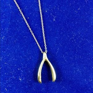 Gold Wishbone Necklace on a 18K Gold Chain.