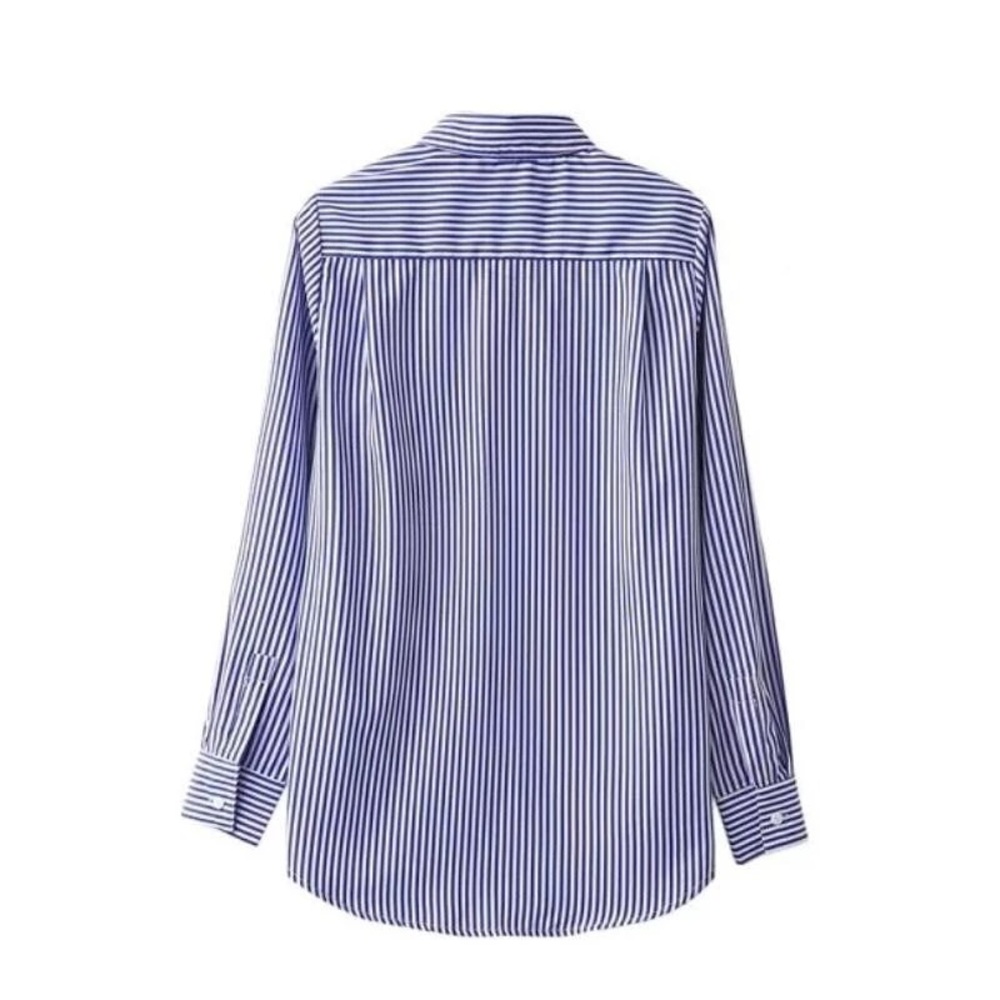 Striped Embroidered Blouse - Picture 2 of 4
