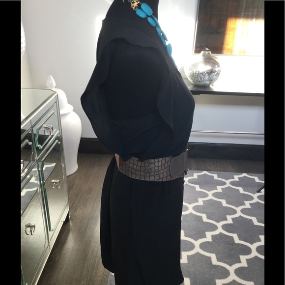 Talula Babaton Shift Dress (100% Silk)❤️ - Picture 4 of 8