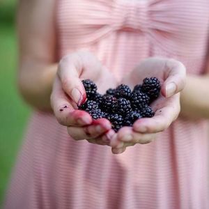 Meet your Posher, Gretchen