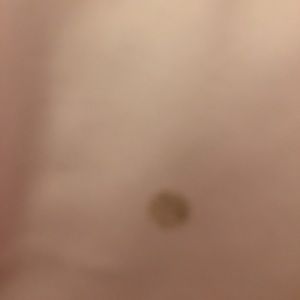 Meet your Posher, Bella