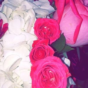 Meet your Posher, Alex