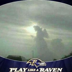 Meet your Posher, Lendell