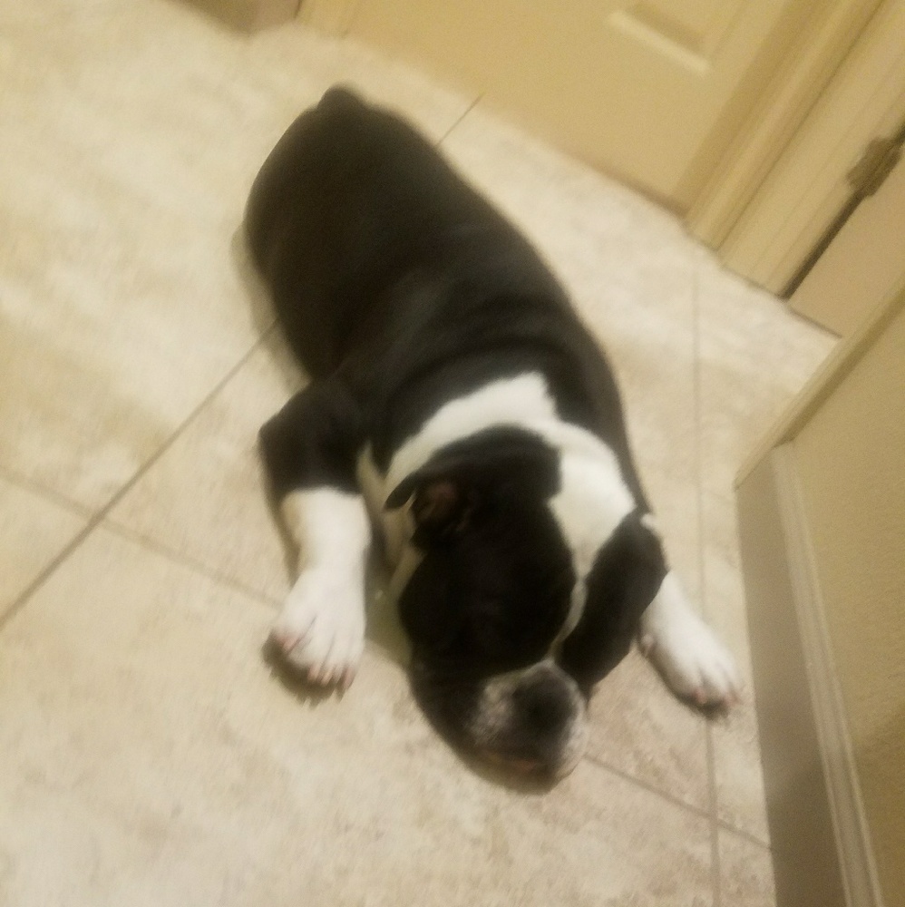 Meet your Posher, Marleenae